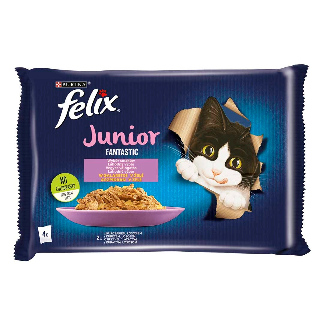 FELIX Fantastic Junior csirkével/lazaccal aszpikban nedves eledel felnőtt macskáknak 4x85g