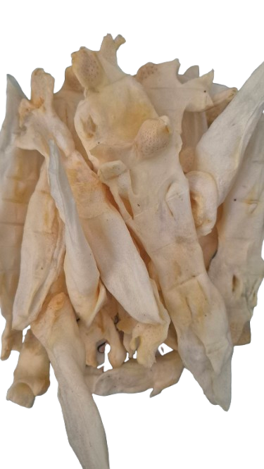 Puffasztott Nyúlfül /1db