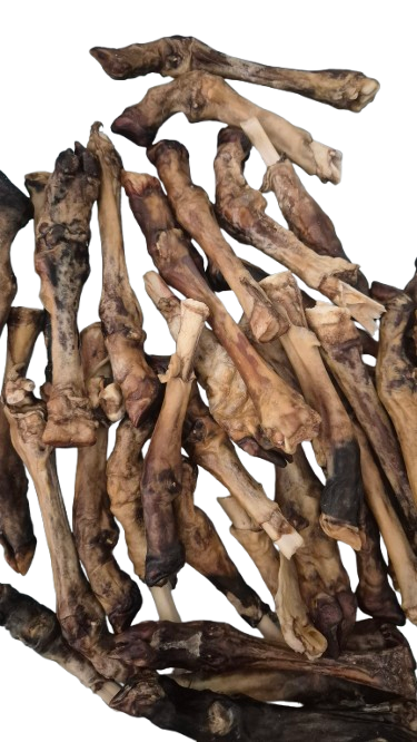 Szárított Kecskeláb /1 db