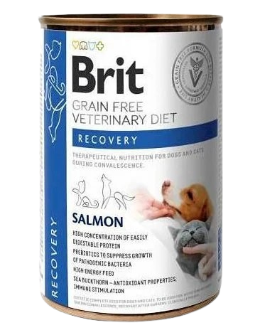 Brit Veterinary Diets GF cat + dog Recovery salmon 400 g