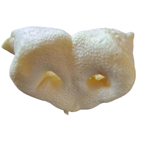 Teomann puffasztott sertésorr